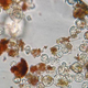 Illustration for article titled A 34,000 year old bacteria has come back from the dead and is breeding